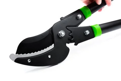 Lopper for pruning branches on trees gardening tools on white  background. Stock Photos
