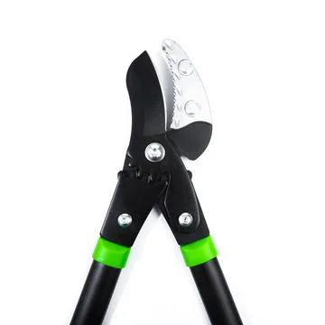 Lopper for pruning branches on trees gardening tools on white  background. Stock Photos