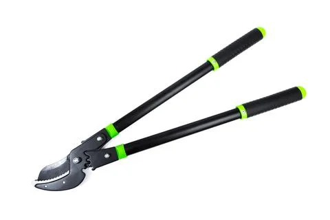Lopper for pruning branches on trees gardening tools on white  background. Stock Photos