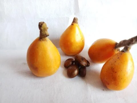 Loquat medlar and seed on white background Stock Photos