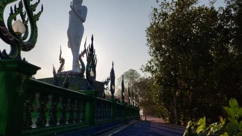 The Lord Buddha is walking Stock Footage 264039513