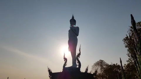 The Lord Buddha is walking with light Stockbeeldmateriaal 264046805