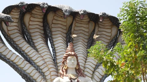 Lord Shiva Statue Beneath Multi Headed Serpent Canopy at Temple, mahakal co.. 動画素材 336883988