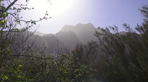 Loreto Sunset Through Trees Stock Footage 51849967
