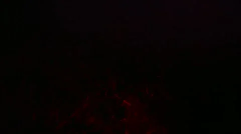 Loris capture and release Stock Footage 68525042