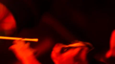 Loris - capture and release Stock Footage 68528893