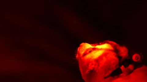 Loris - capture and release Stock Footage 68528894