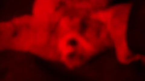 Loris - capture and release Stock Footage 68528896