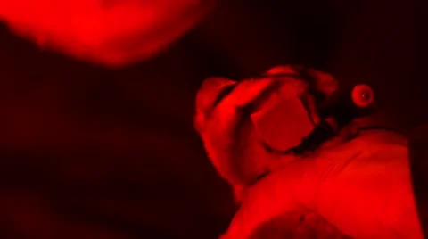 Loris - capture and release Stock Footage 68528903