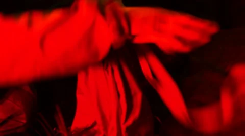 Loris - capture and release Stock Footage 68528904