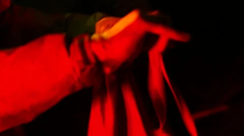 Loris - capture and release Stock Footage 68531232