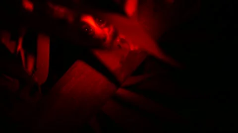 Loris - Close up Stock Footage 68528048