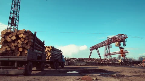 A lorry brings a new batch of wood to the woodworking plant Stock Footage 92200000