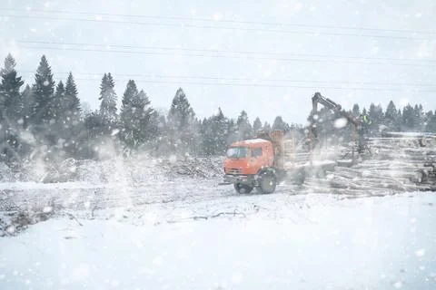 A lorry transports log in the back. Timber truck Stock Photos