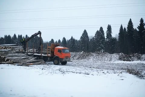 A lorry transports log in the back. Timber truck Stock Photos