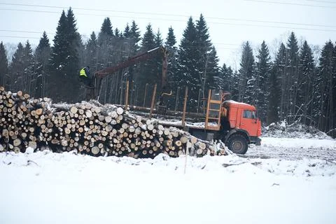A lorry transports log in the back. Timber truck Stock Photos