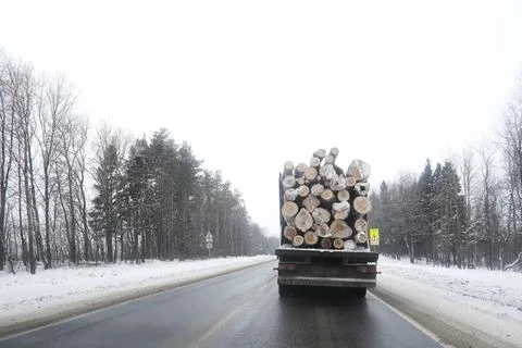 A lorry transports log in the back. Timber truck Stock Photos