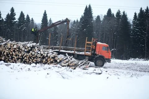 A lorry transports log in the back. Timber truck Stock Photos