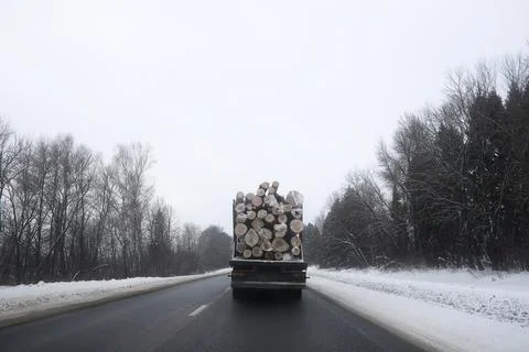 A lorry transports log in the back. Timber truck Stock Photos