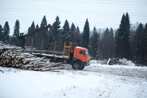 A lorry transports log in the back. Timber truck Stock Photos