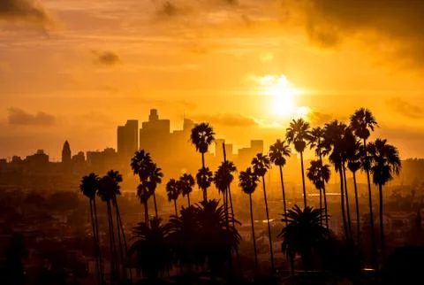 Los Angeles and Palm Trees at Sunset Golden Hour Stock Photos