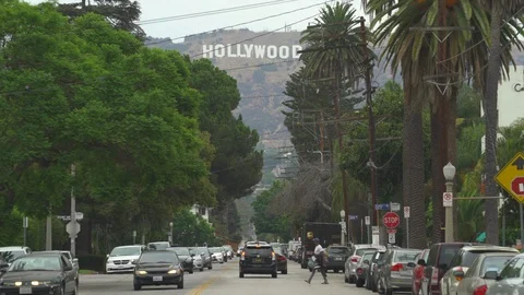 Los Angeles busy street scene with palm trees and Hollywood sign Stock Footage