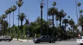Los Angeles Car Traffic in Beverly Hills, Palm Trees near Santa Monica BLVD, USA HD Footage