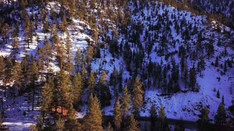 Los Angeles Crest Drone three Stock Footage 230855922