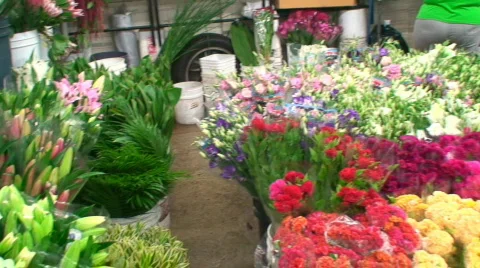 Los Angeles Flower District Stock Footage 456460