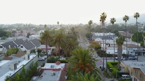 Los Angeles Hollywood Street Flyby Palm Trees 4K Drone Stock Footage