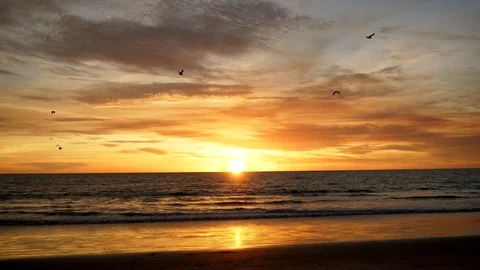Los Angeles, LA, California - Sunset with seagulls - LA beach sunset Stock Footage
