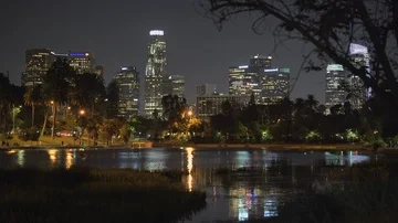Los Angeles lights, cityscape. Echo park lake at night Stock-Footage 86131112