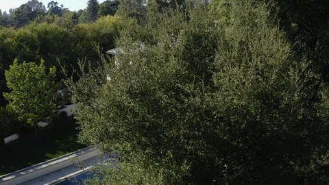 A Los Angeles Metro Train pulls into a station. Stock Footage 117767482
