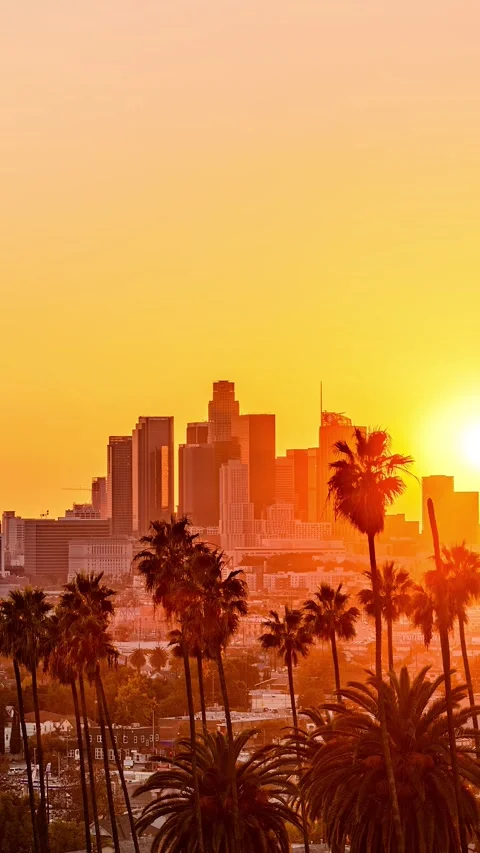 Los Angeles Palm Tree Skyline View at Golden Hour, Day to Night, Vertical Video Stock Footage 230172935