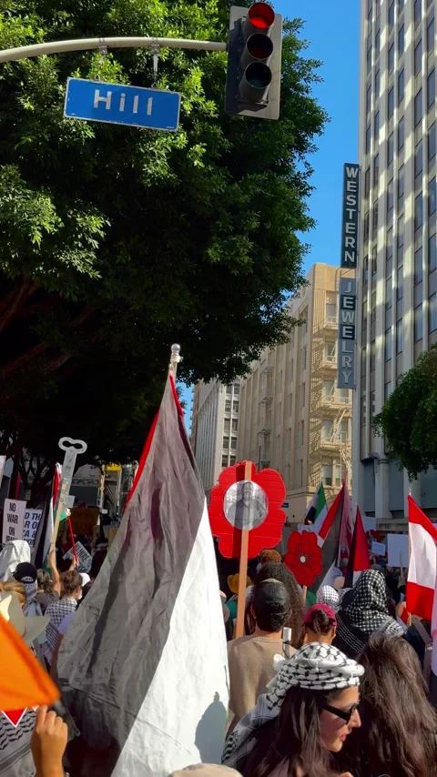 Los Angeles Protesters Marching in a Free Palestine Protest 動画素材 287789339