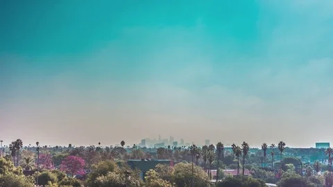Los Angeles Skyline Stock Footage