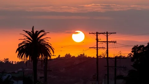 Los Angeles Sunset With Palm Tree and Pole Timelapse Vídeos de archivo 88068032