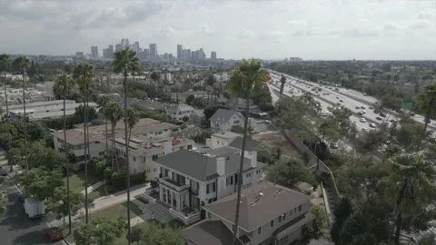 Los Angeles through the trees Stock Footage 285262185