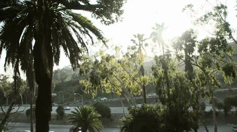 Los Angeles Traffic Stock Footage 25793843