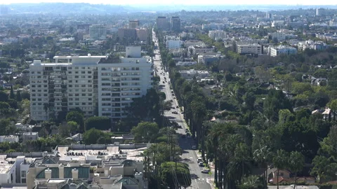 Los Angeles view Stock Footage 233303875