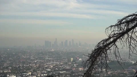 Los Angeles View from Griffith Park Hiking Trail 2022 01 Stock Footage 169740545