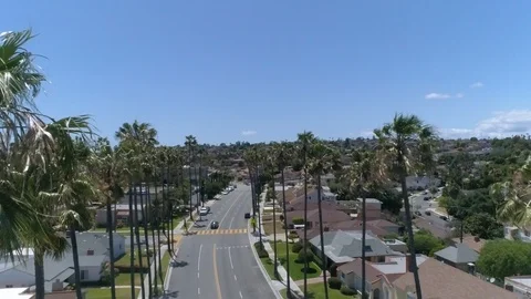 Los Angels Palm Trees Stock Footage 90524746