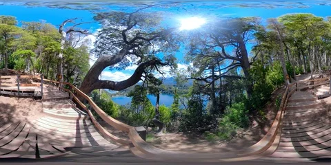 Los Arrayanes National Park 動画素材 104251921