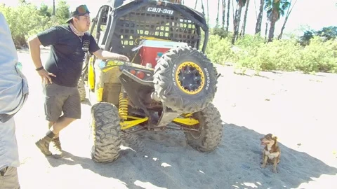 LOS CABOS BCS MEXICO-2022: Jeep in Tropical Nature Stock Footage 204889210
