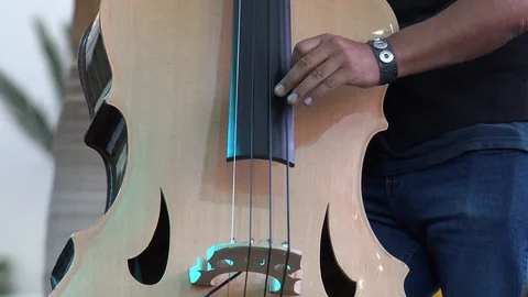 LOS CABOS MEXICO-2019: Close Up Of A Man Hands Plucking A Double Bass Stock Footage 129300256