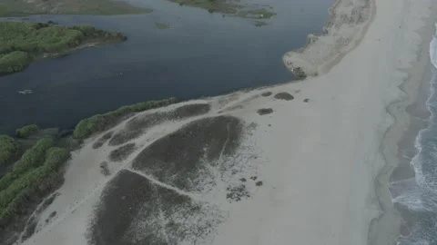 LOS CABOS MEXICO-2020: Video Footage Shows A Tiny Portion Of One Of The Earth's Stock Footage 131194545