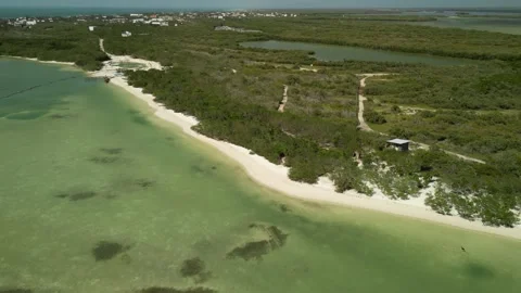 Los-cocos-holbox-drone-4k-palm-shoreline-tropical-paradise-11 스톡 동영상 315584072