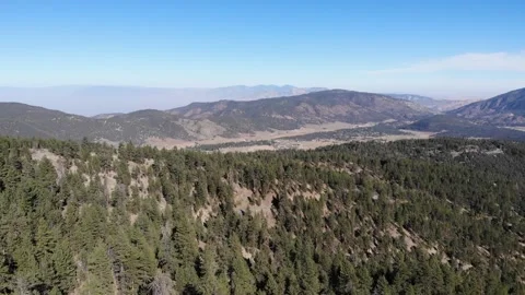 Los Padres Forest - DAY Stock-Footage 142402017