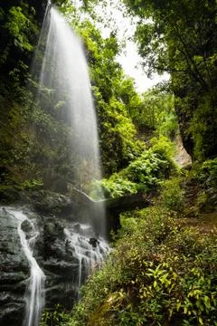 Los Tilos waterfall Foto stock