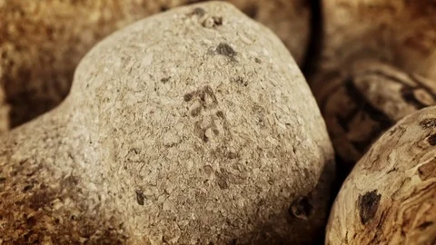 Lose Corks from Wine bottles in close up stock footage Stock Footage
